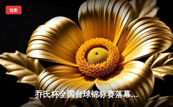 乔氏杯全国台球锦标赛落幕 新生代黑马王辰逆转夺冠